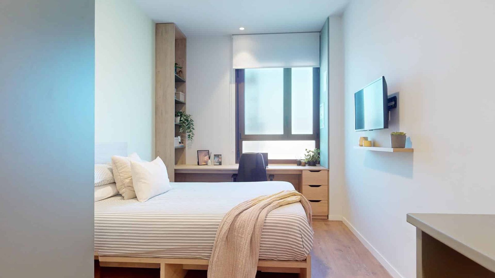 Nido Malvarrosa — student accommodation in Valencia