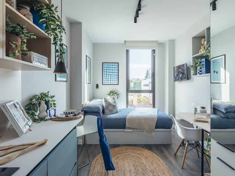 Palm Studios — student accommodation in Seville