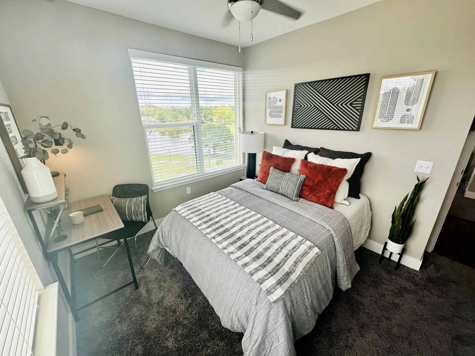 The Standard At Tallahassee — student accommodation in Tallahassee