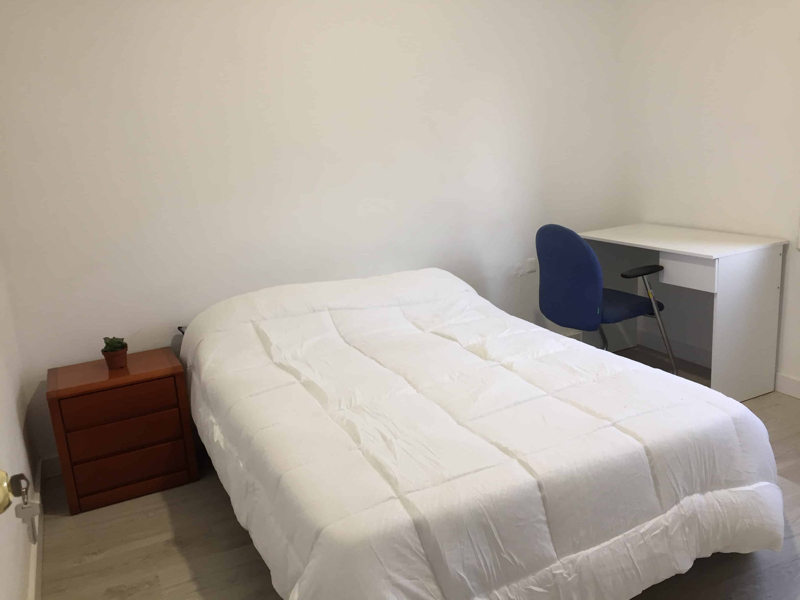 Av. Del Parallel 72 5-3 Ciutat Vella — student accommodation in Barcelona