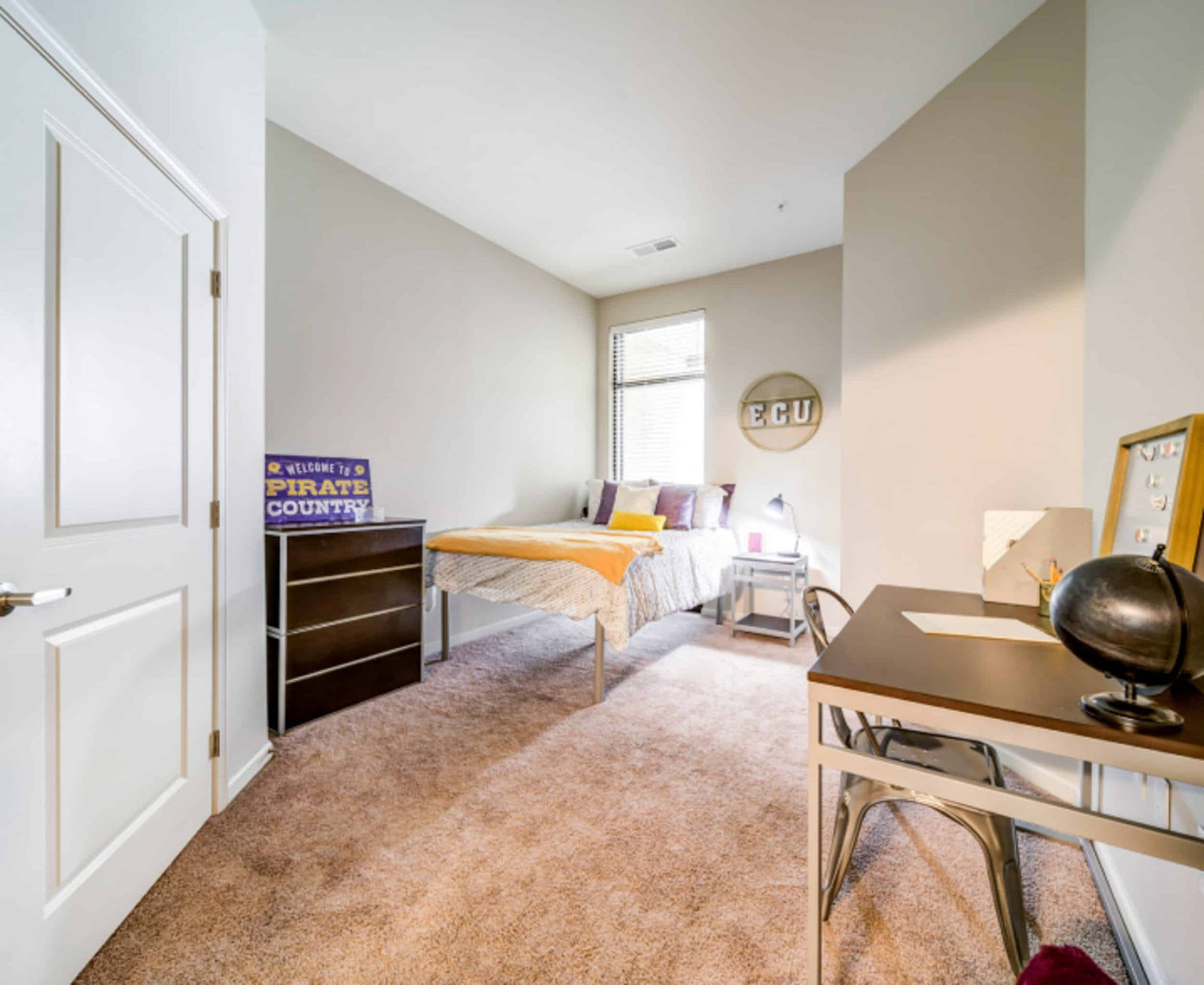 University Edge Dickinson Lofts — student accommodation in Greenville