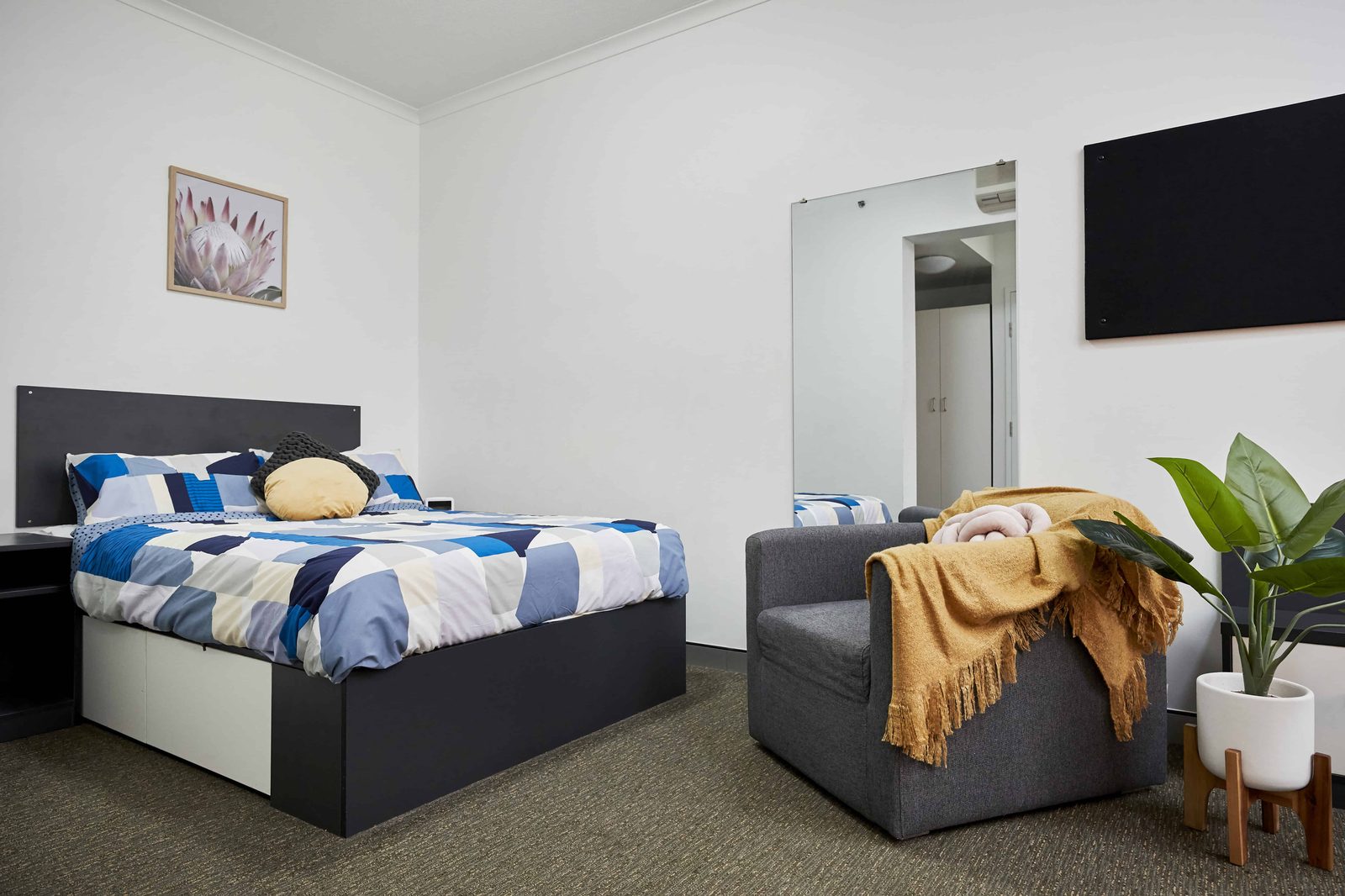 Scape Tribune — student accommodation in Brisbane