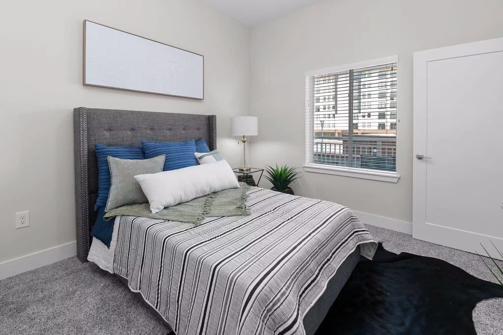 Novi Rise — student accommodation in Charlotte