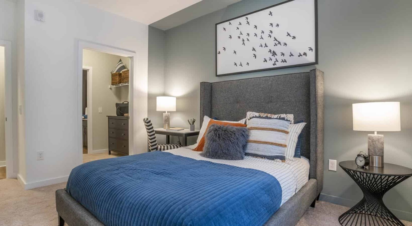 The Alloy — student accommodation in College Park