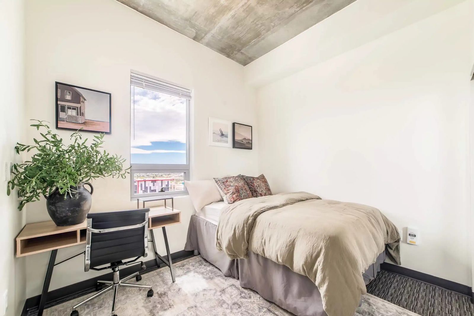 The Pacific — student accommodation in Tucson