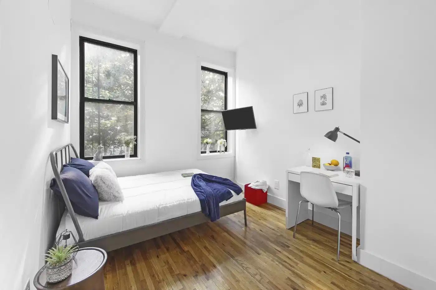 The Fort Greene House — student accommodation in New York City