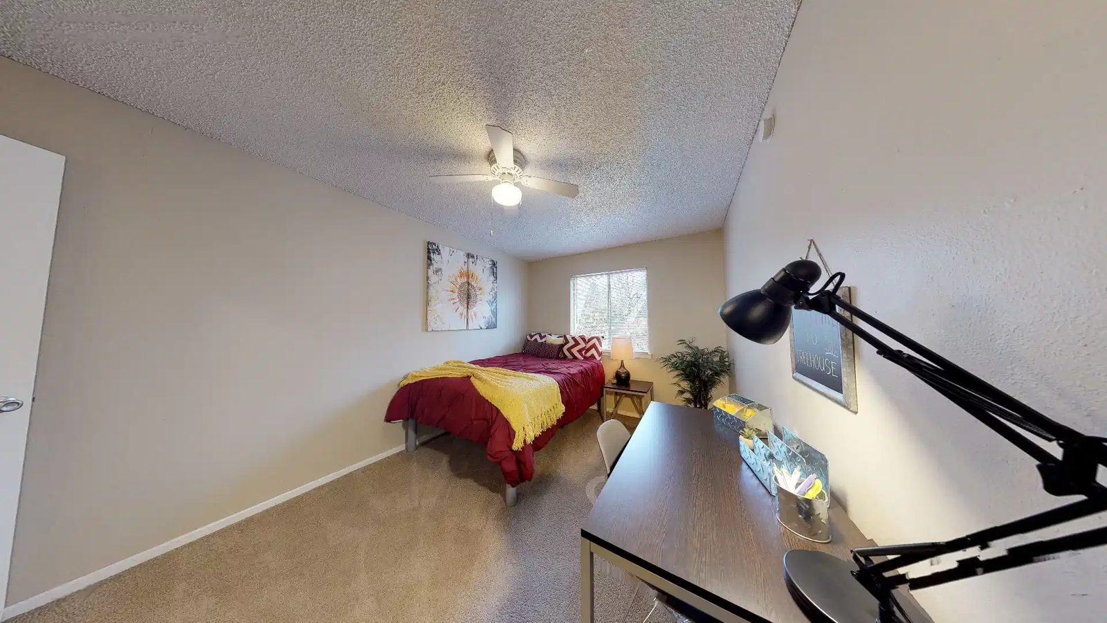 Treehouse — student accommodation in San Marcos