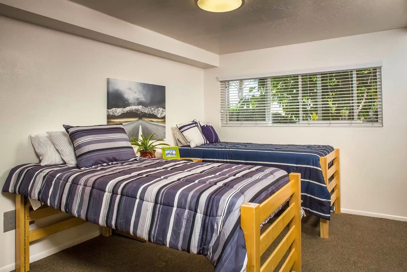 Tropicana Gardens — student accommodation in Goleta