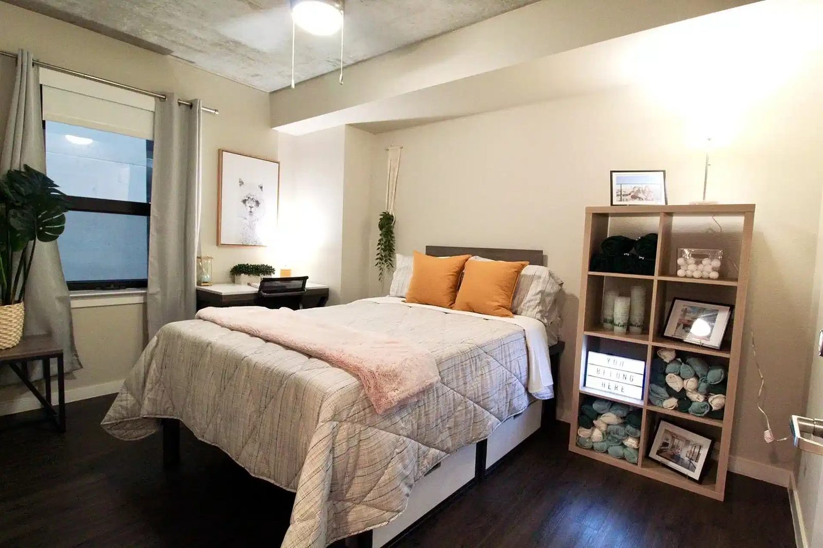 Skyloft — student accommodation in Austin