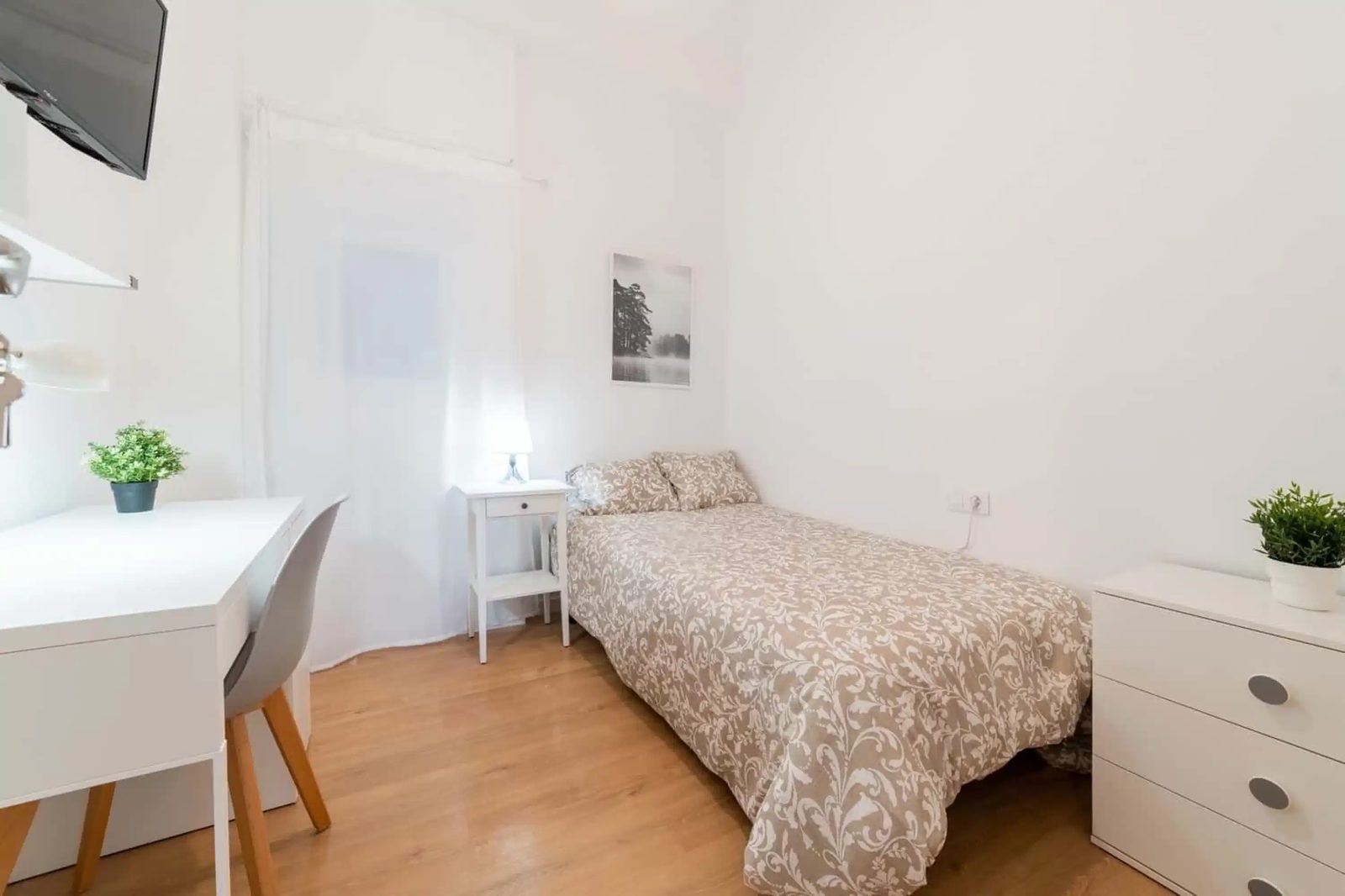 SPC 46007 — student accommodation in Valencia