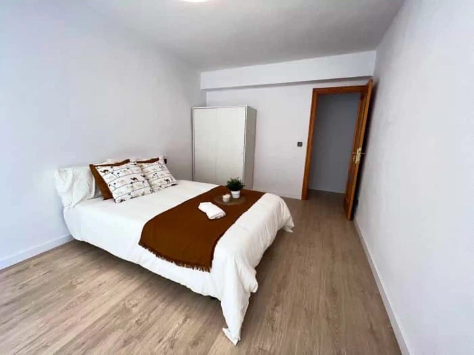 SPC 46020 — student accommodation in Valencia