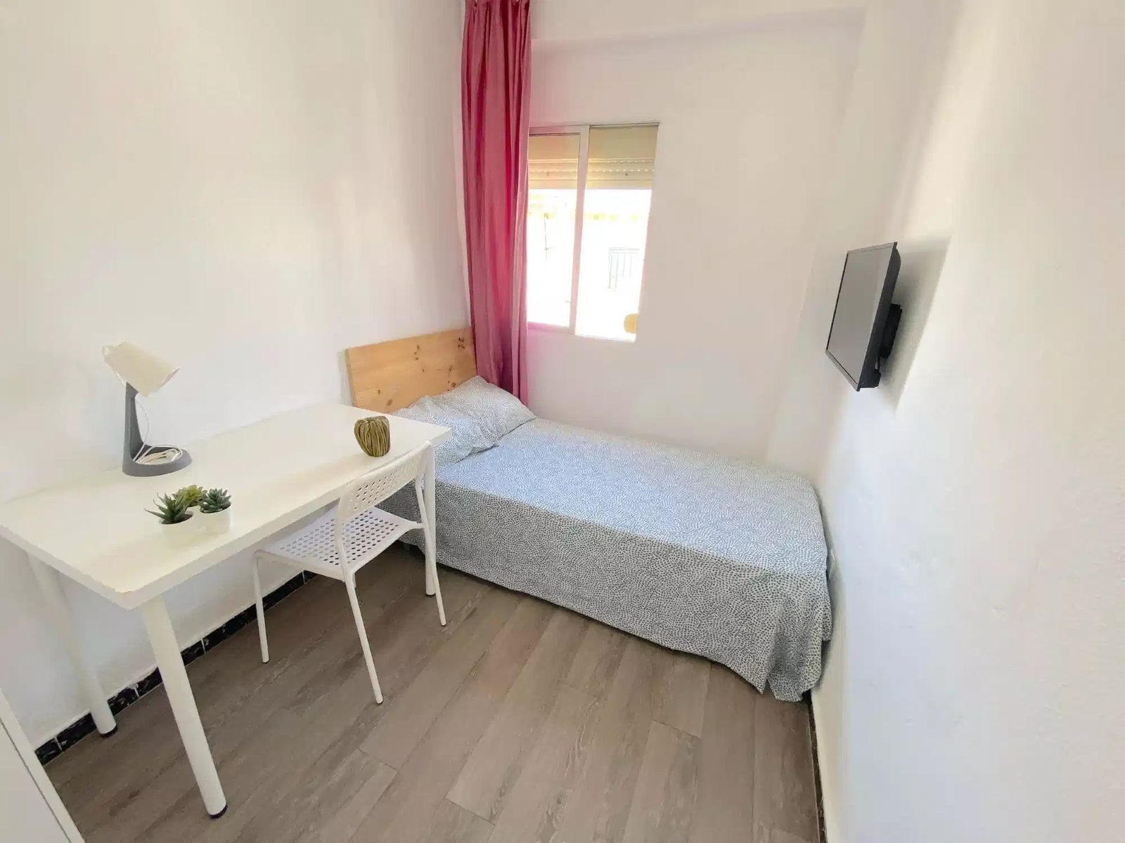 SPC 41009 — student accommodation in Seville