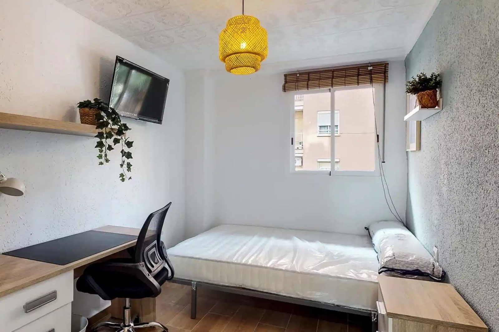SPC 46023 — student accommodation in Valencia