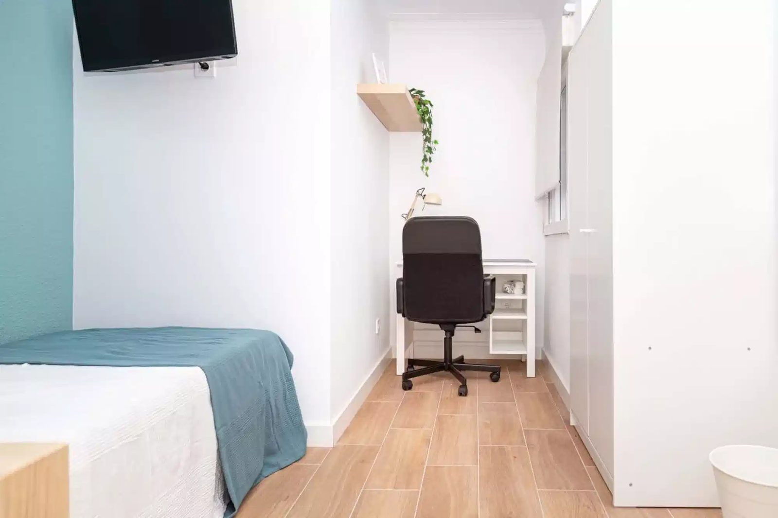 SPC 50017 — student accommodation in Zaragoza