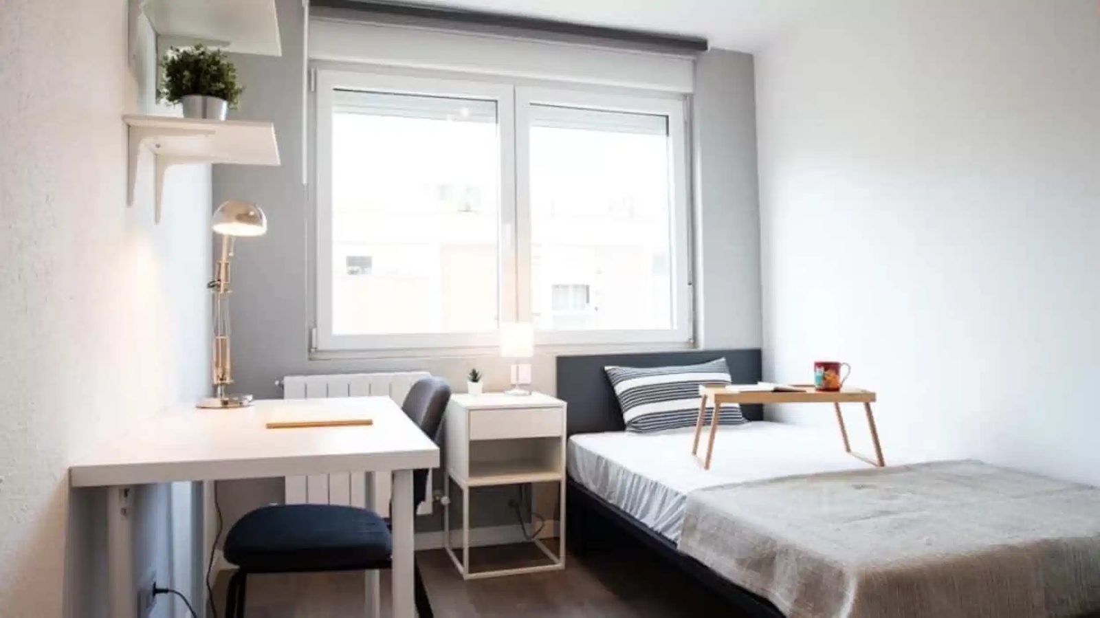 SPC 28019 — student accommodation in Getafe
