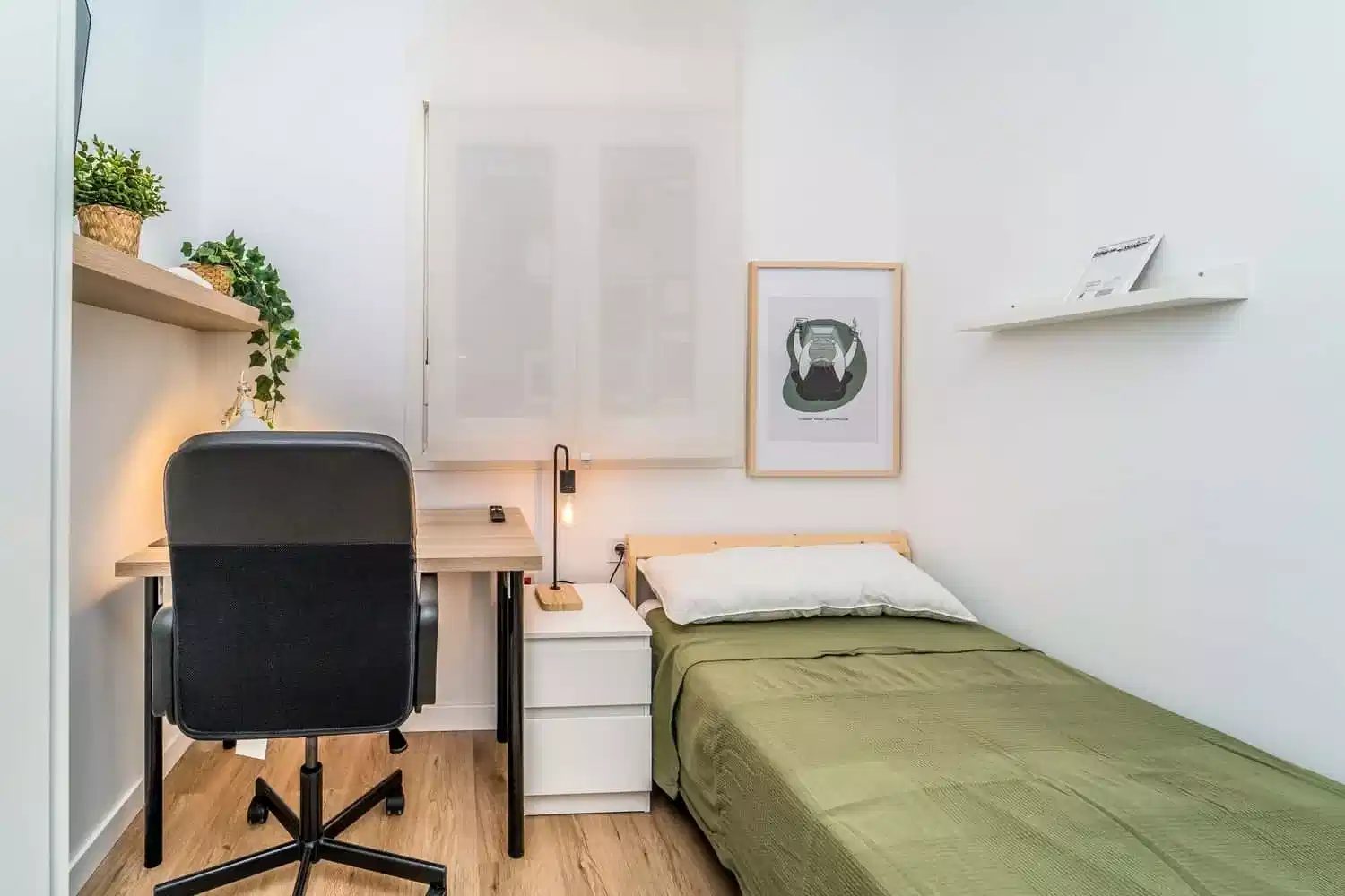 SPC 47005 — student accommodation in Valladolid