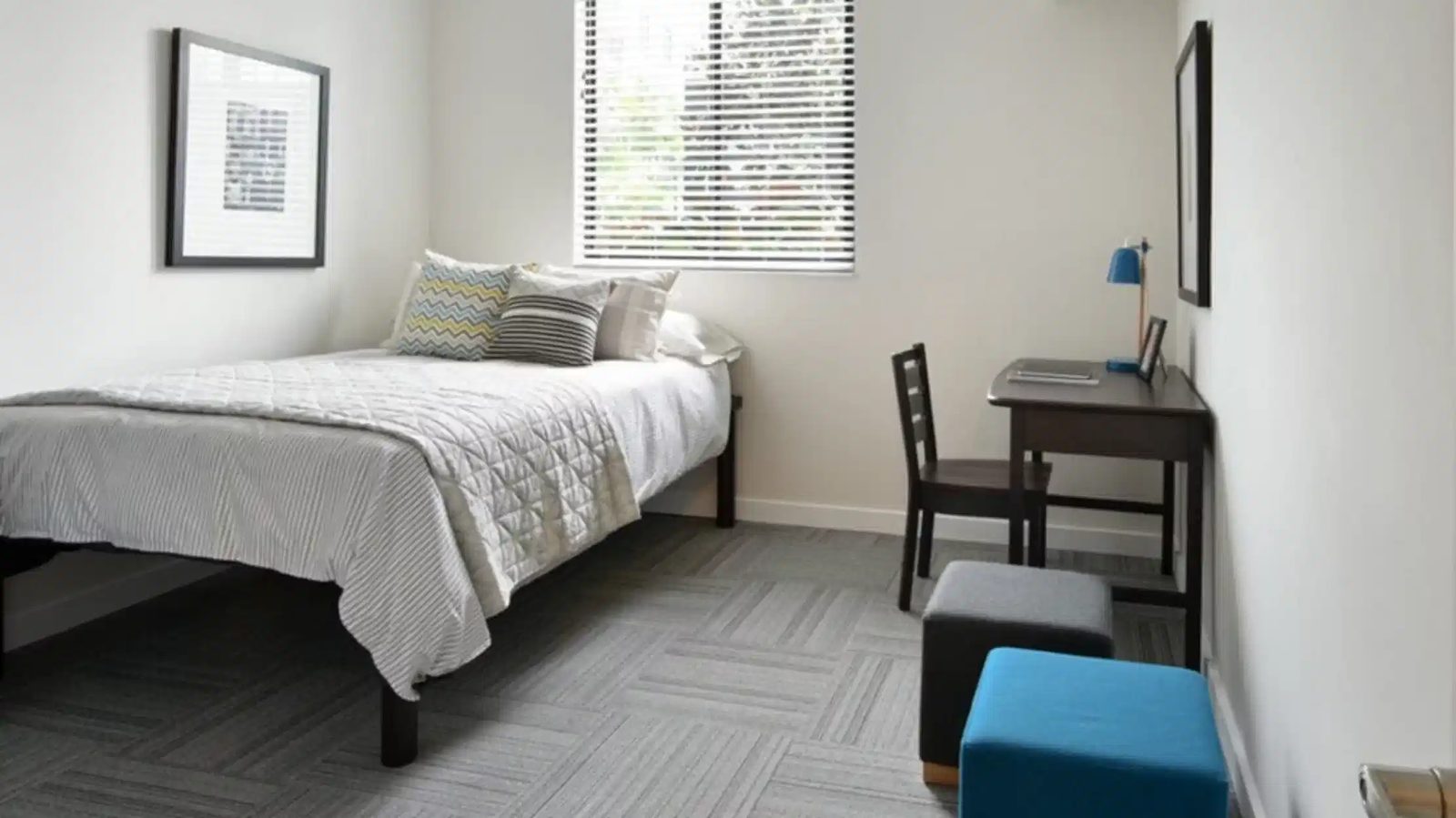 4th Street Commons — student accommodation in Miami