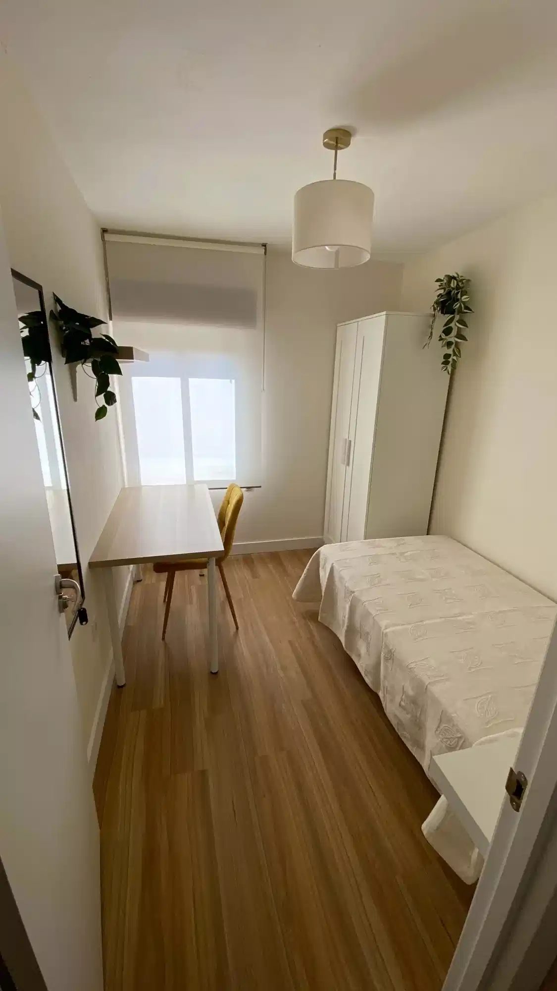 SPC 47011 — student accommodation in Valladolid
