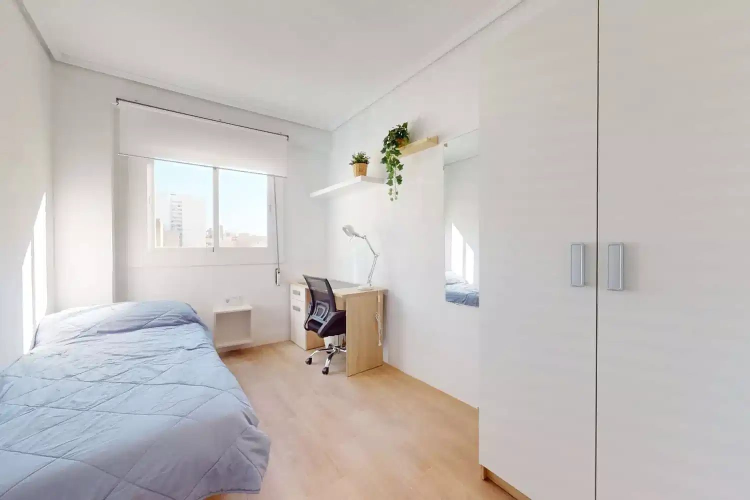 SPC 12002 — student accommodation in Castelló De La Plana
