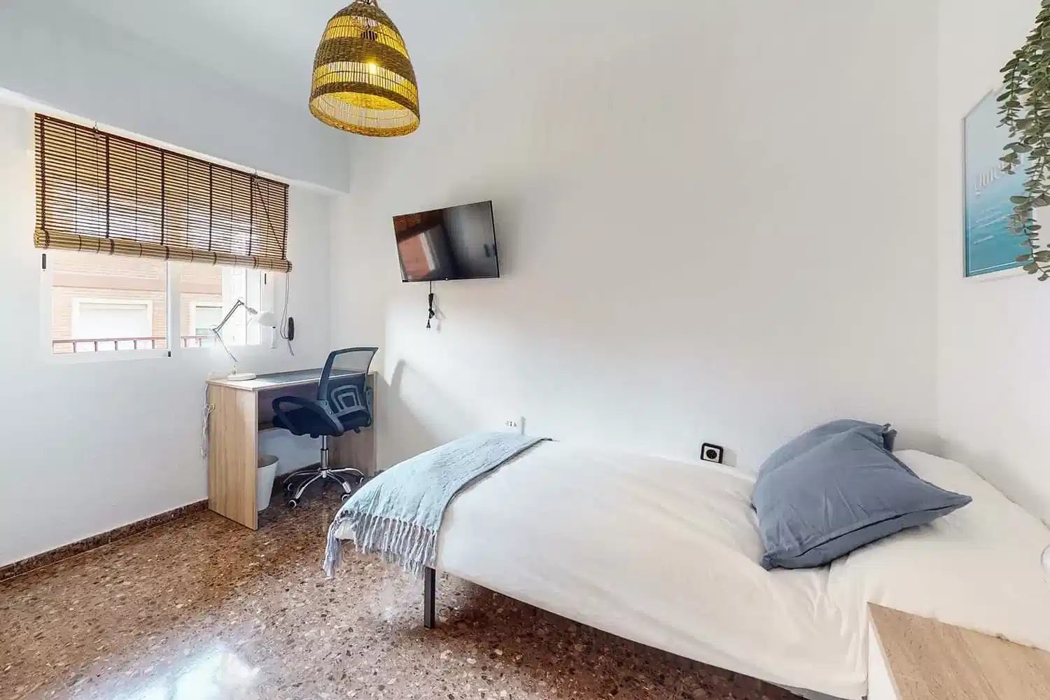 SPC 46019 — student accommodation in Valencia