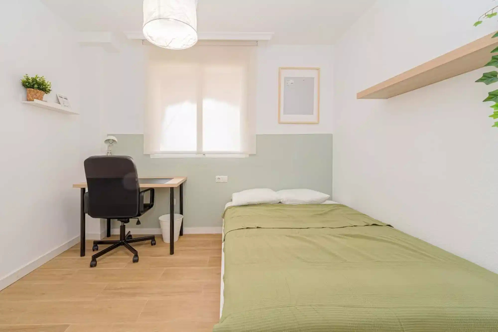 SPC 3012 — student accommodation in Alicante