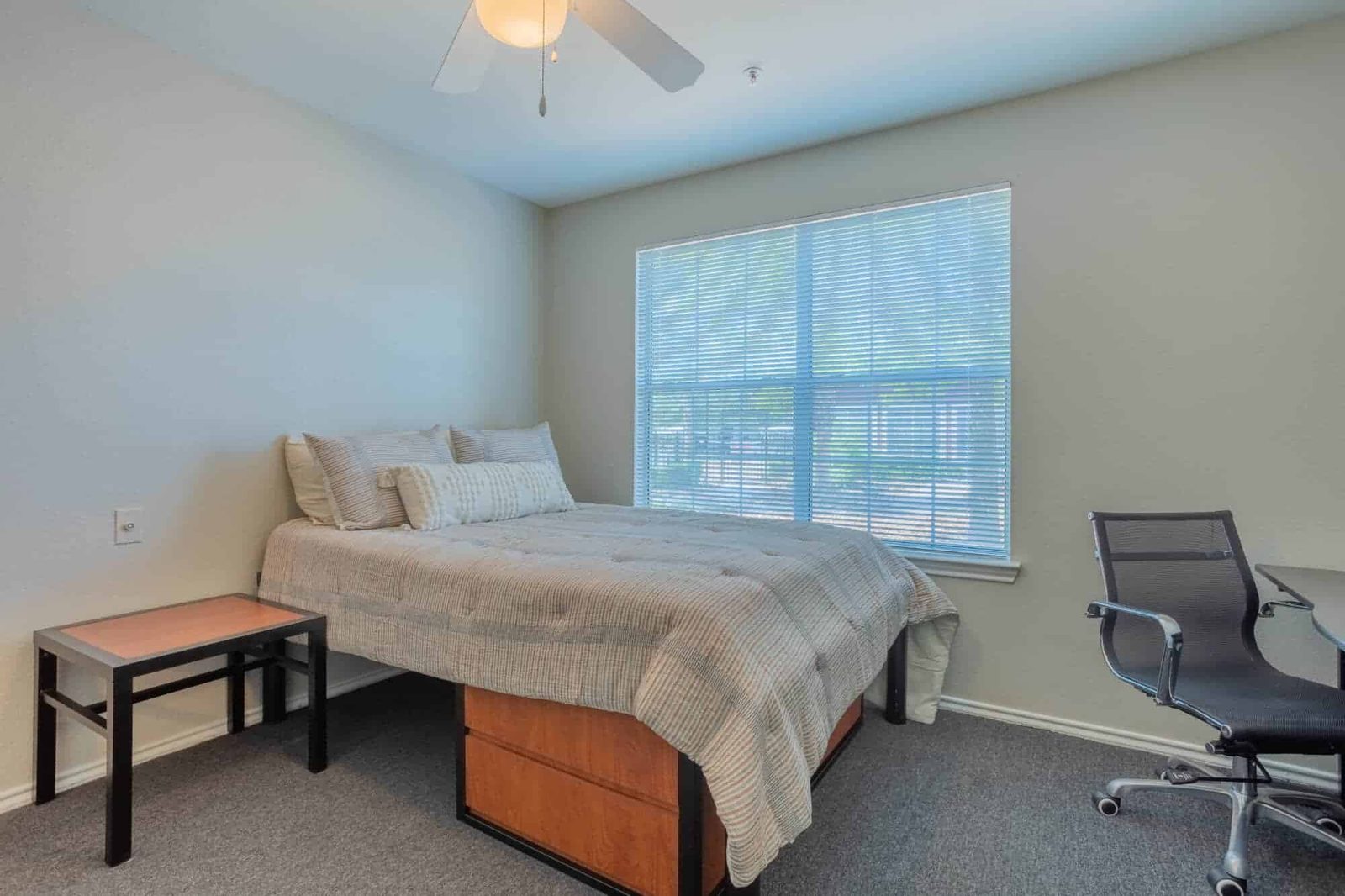 University Trails — student accommodation in Bryan