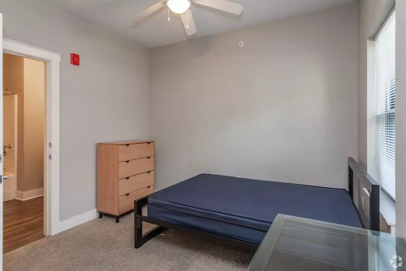 75 E. Armory — student accommodation in Champaign