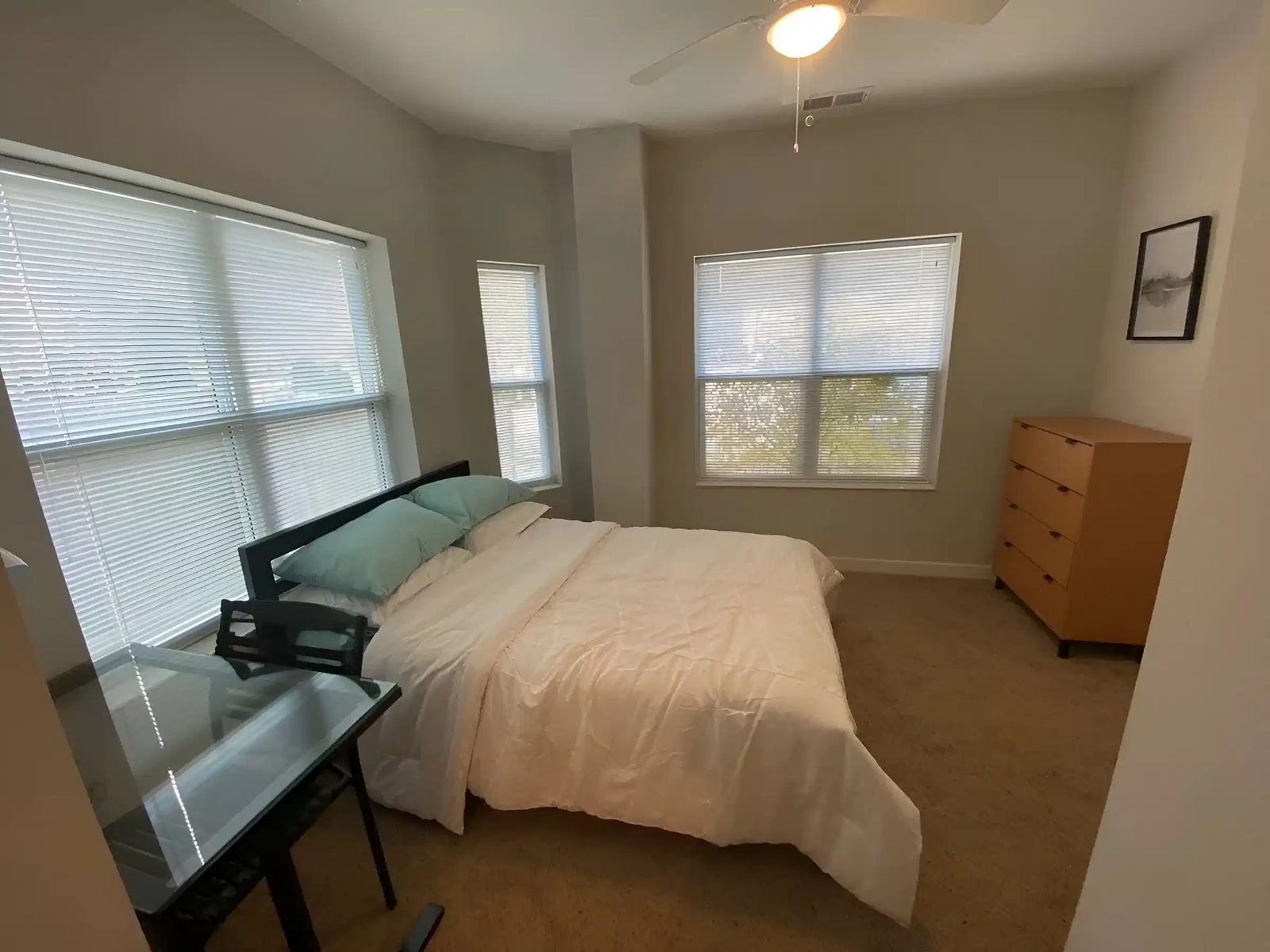 305 E. Daniel — student accommodation in Champaign