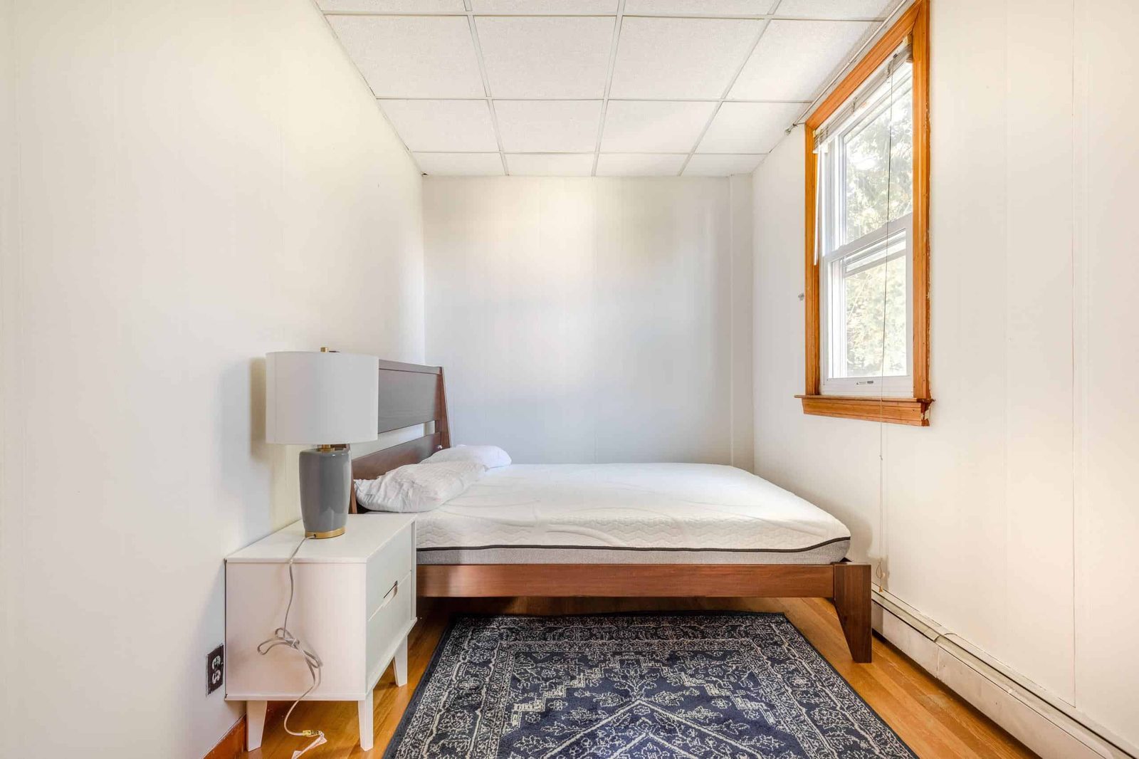 June Homes 02120 — student accommodation in Boston