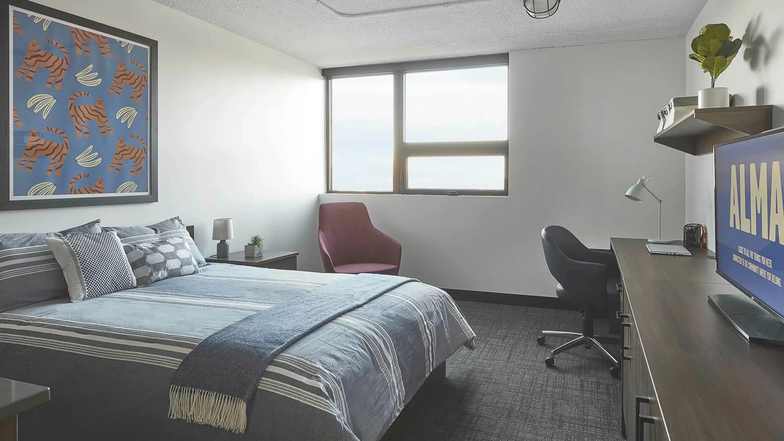 ALMA @ Guelph Student Housing — student accommodation in Guelph