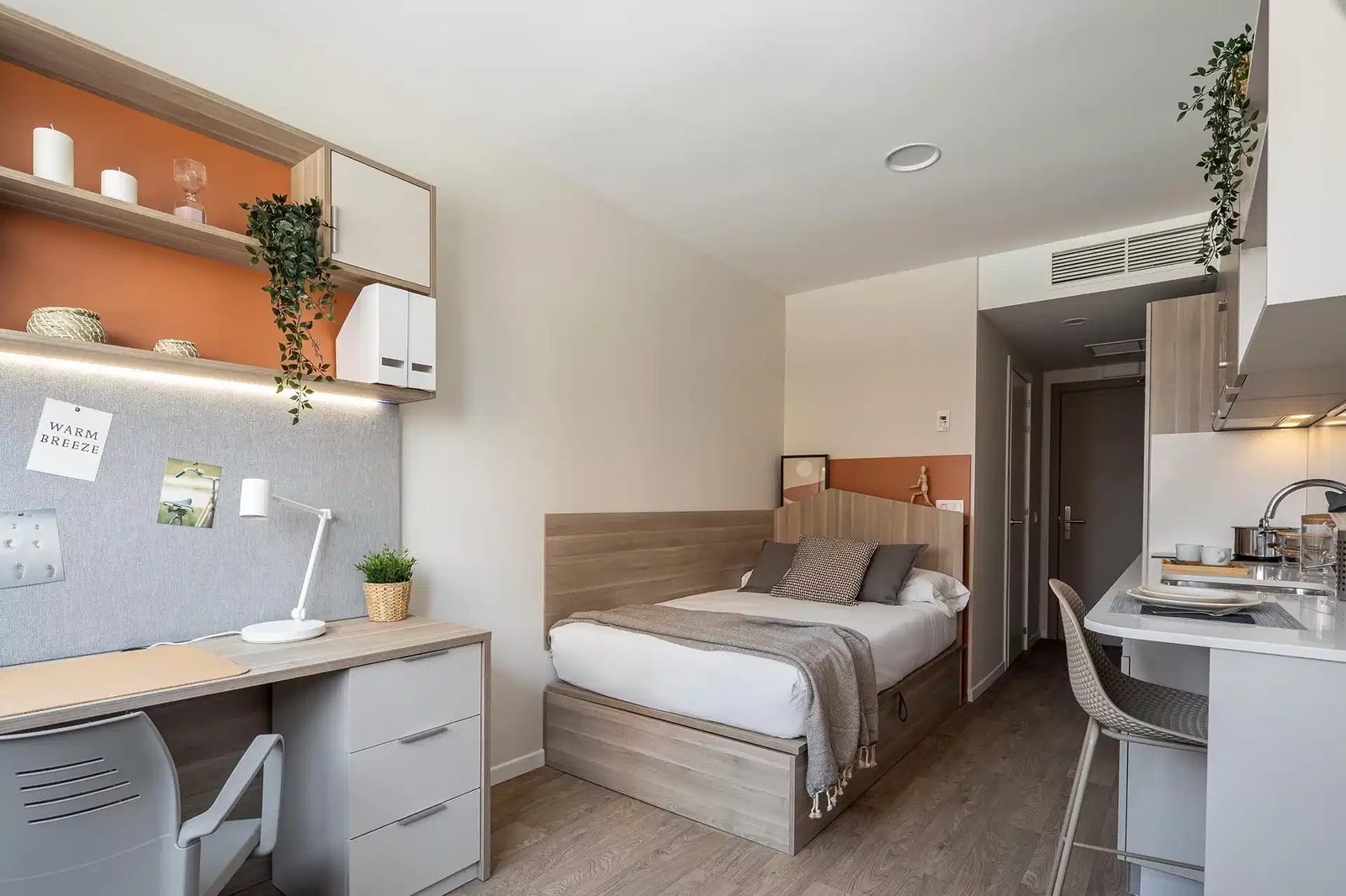 Amro Pamplona — student accommodation in Pamplona
