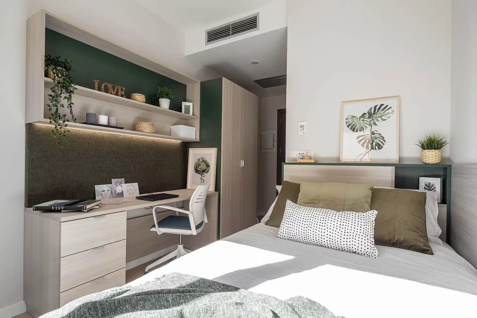 Amro Sevilla — student accommodation in Seville