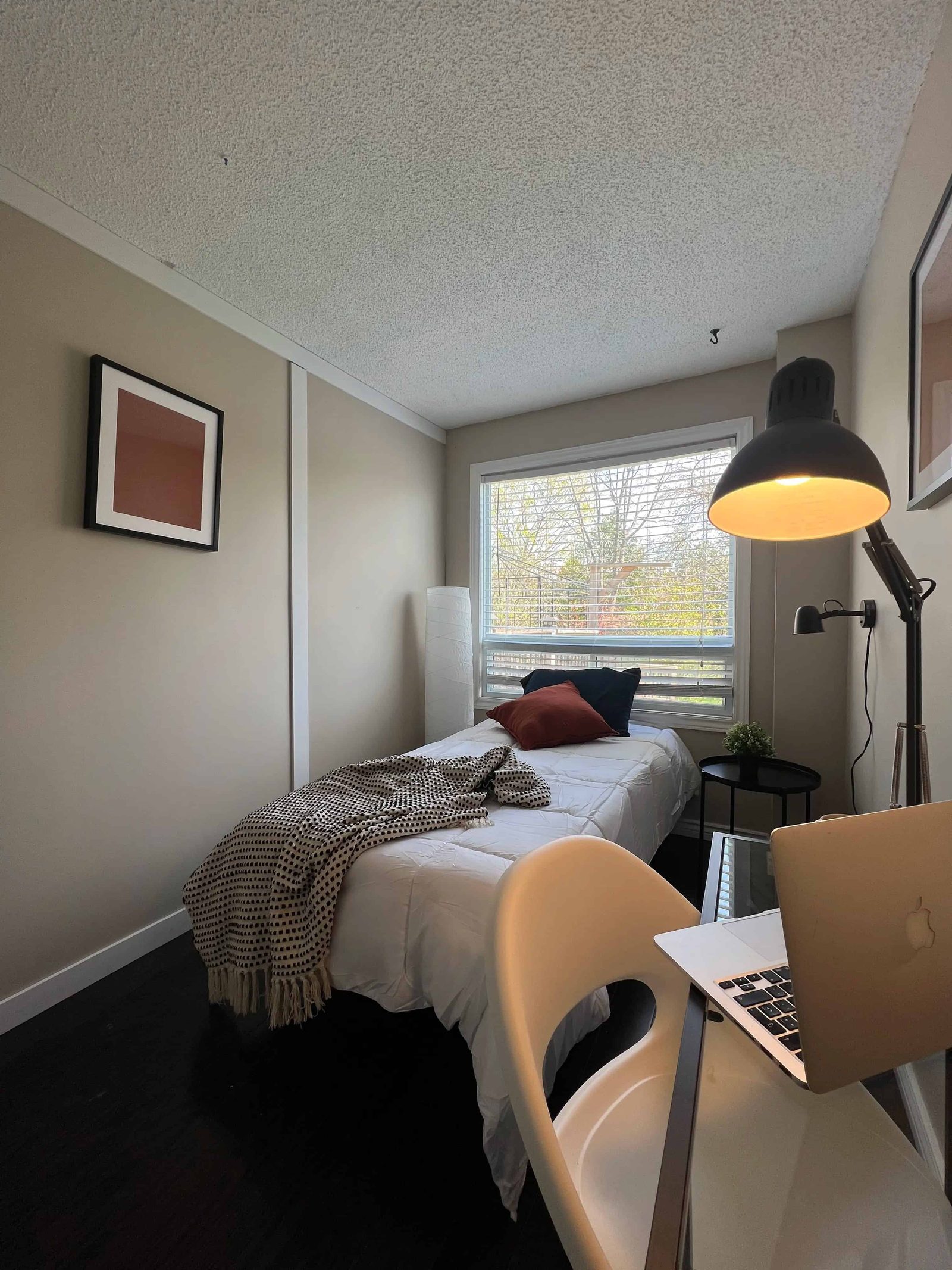 108 Murray St — student accommodation in Toronto