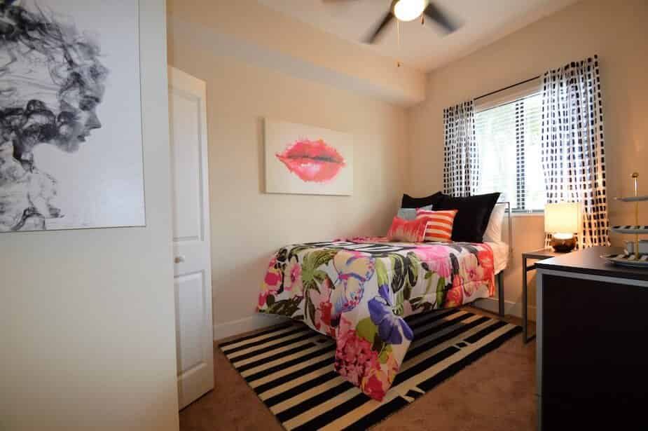 University Park — student accommodation in Boca Raton